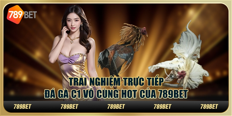 Trải Nghiệm Trực Tiếp Đá Gà C1 Vô Cùng Hot Của 789bet