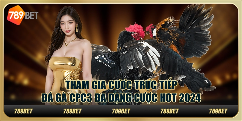 Tham gia cược trực tiếp đá gà cpc3 đa dạng cược hot 2024