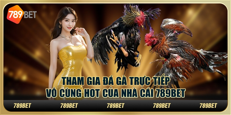 Tham Gia Đá Gà Trực Tiếp Vô Cùng Hot Của Nhà Cái 789bet 1 Tham Gia Đá Gà Trực Tiếp Vô Cùng Hot Của Nhà Cái 789bet