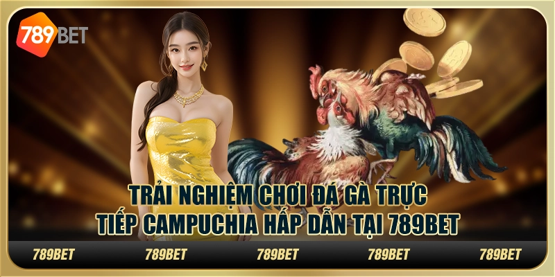 Trải Nghiệm Chơi Đá Gà Trực Tiếp Campuchia Hấp Dẫn Tại 789bet