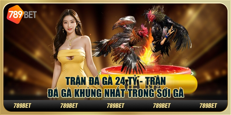 Trận Đá Gà 24 Tỷ - Trận Đá Gà Khủng Nhất Trong Sới Gà 1 Trận Đá Gà 24 Tỷ - Trận Đá Gà Khủng Nhất Trong Sới Gà