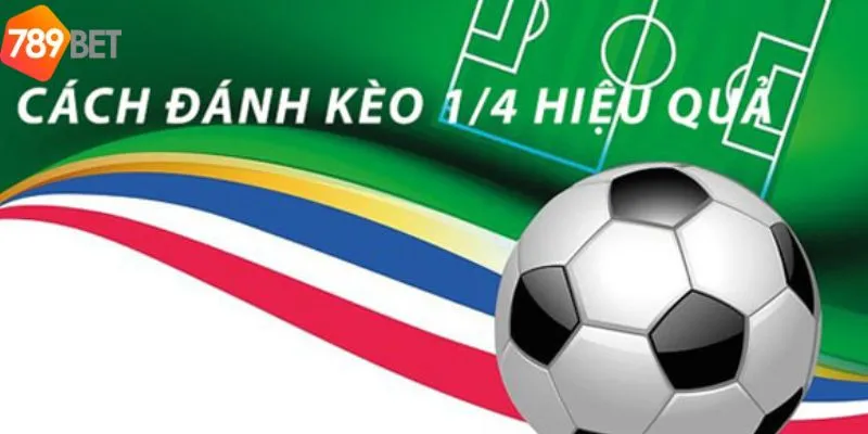 Mẹo chơi kèo thua một nửa cho tân thủ