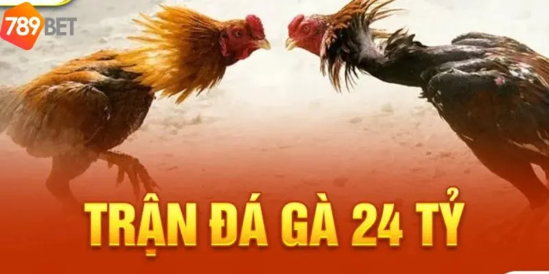 Trận Đá Gà 24 Tỷ - Trận Đá Gà Khủng Nhất Trong Sới Gà 2 Diễn biến của trận đá gà 24 tỷ