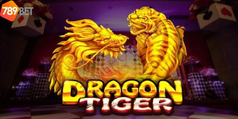 Tìm hiểu cách thức chơi rồng hổ cơ bản