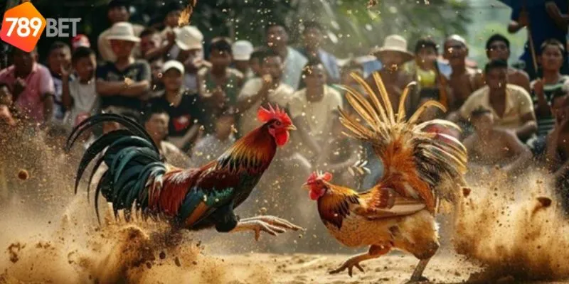 da-ga-truc-tiep-campuchia-