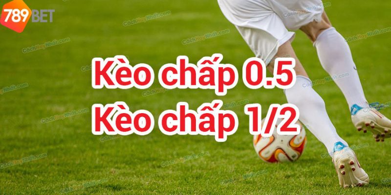 Hướng dẫn tính kèo chấp nửa trái trong cá cược