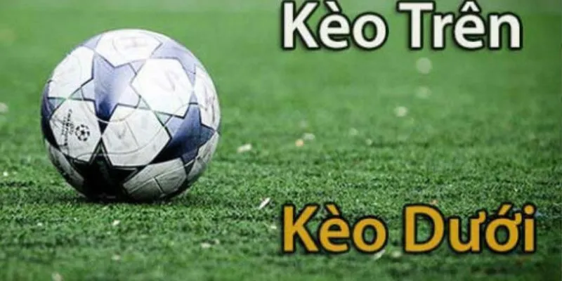 Các nhân tố ảnh hưởng đến kèo trên là gì