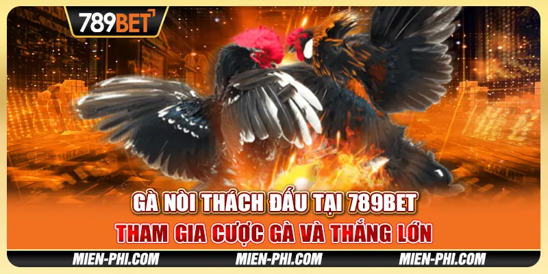 Gà Nòi Thách Đấu Tại 789bet - Tham Gia Cược Gà Và Thắng Lớn