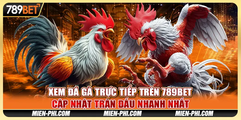 Xem Đá Gà Trực Tiếp Trên 789bet Cập Nhật Trận Đấu Nhanh Nhất