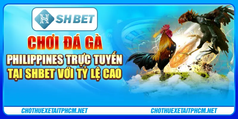Chơi Đá Gà Philippines Trực Tuyến Tại ShBET Với Tỷ Lệ Cao