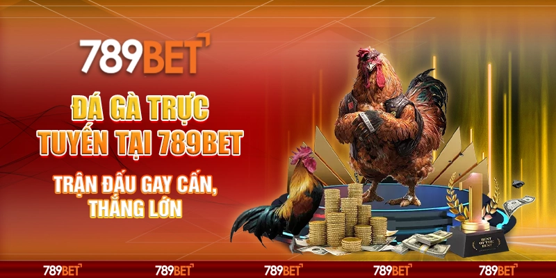 5-da-ga-truc-tuyen-tai-789bet-tran-dau-gay-can-thang-lon