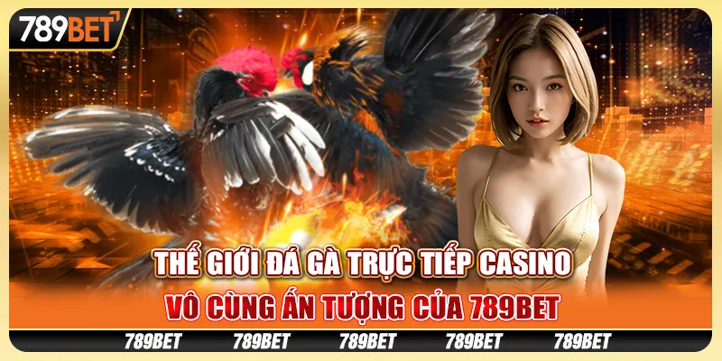 Thế Giới Đá Gà Trực Tiếp Casino Vô Cùng Ấn Tượng Của 789bet