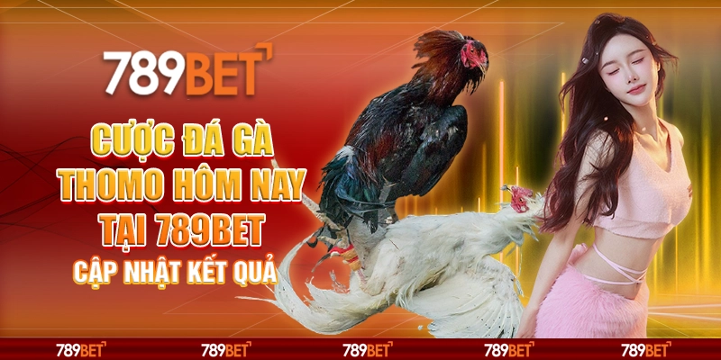 7-cuoc-da-ga-thomo-hom-nay-tai-789bet-cap-nhat-ket-qua
