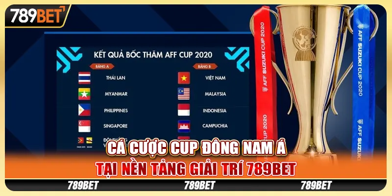 ca-cuoc-cup-dong-nam-a-tai-nen-tang-giai-tri-789bet