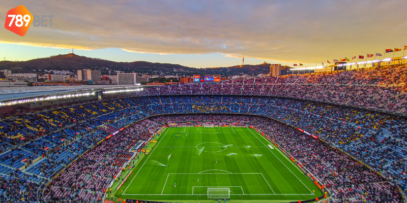 Phân tích đội hình và theo dõi tỷ lệ cược để tham gia hợp lý