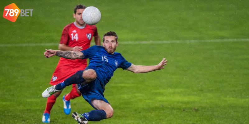 Tham gia cá cược với tỷ lệ kèo nhà cái 789bet