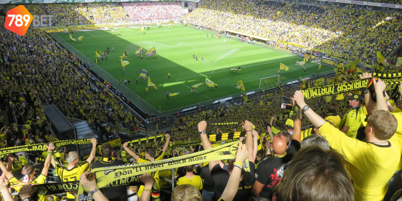 Tham gia cược với nhiều loại kèo hấp dẫn