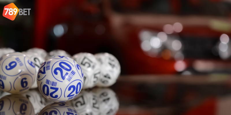 Tham gia đơn giản với nhiều loại hình cược