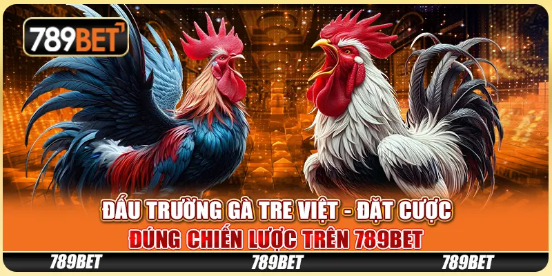 Đấu Trường Gà Tre Việt Đặt Cược Đúng Chiến Lược Trên 789bet
