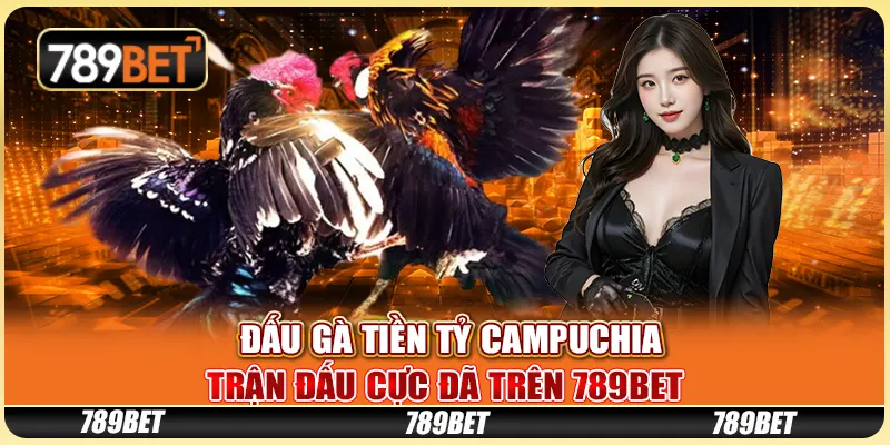 Đấu Gà Tiền Tỷ Campuchia - Trận Đấu Cực Đã Trên 789bet 1 Đấu Gà Tiền Tỷ Campuchia - Trận Đấu Cực Đã Trên 789bet