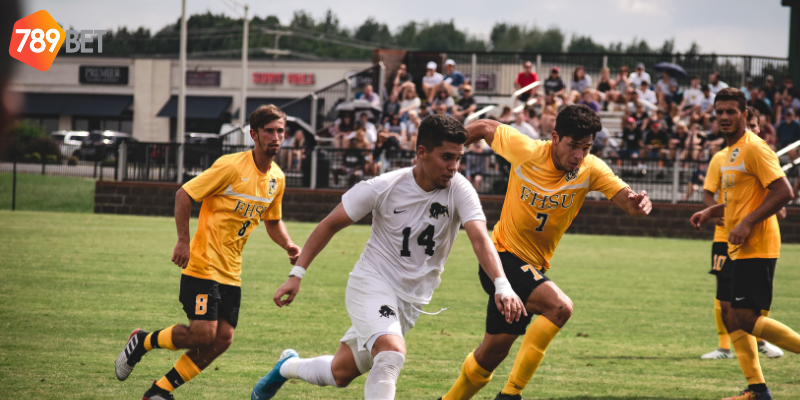 Cá cược tại nhà cái an toàn uy tín