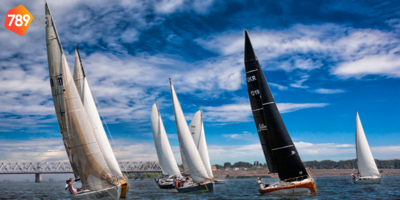 Cược đua thuyền siêu tốc cùng nhà cái