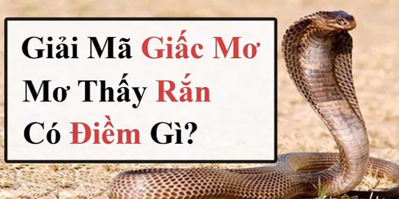 Lý giải nằm mơ thấy rắn là điềm tốt hay xấu
