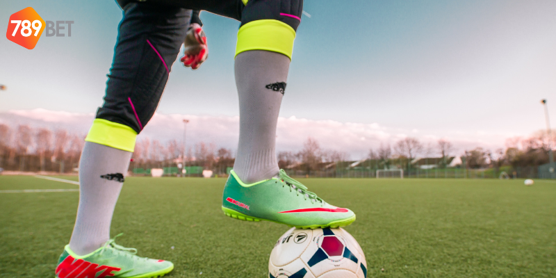 Sử dụng thông tin và kinh nghiệm cược