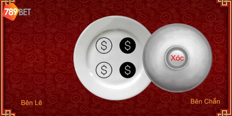 Theo dõi lịch sử và quản lý vốn hiệu quả