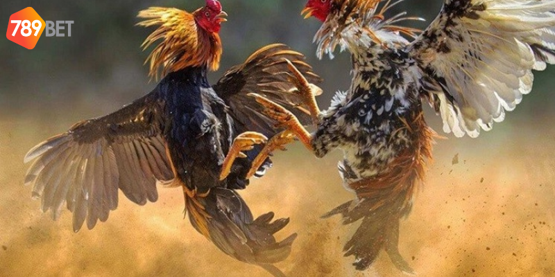 Thông tin kịp thời và hệ thống hỗ trợ tốt