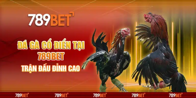 Đá Gà Cổ Điển Tại 789bet – Trận Đấu Đỉnh Cao Từ Nhà Cái