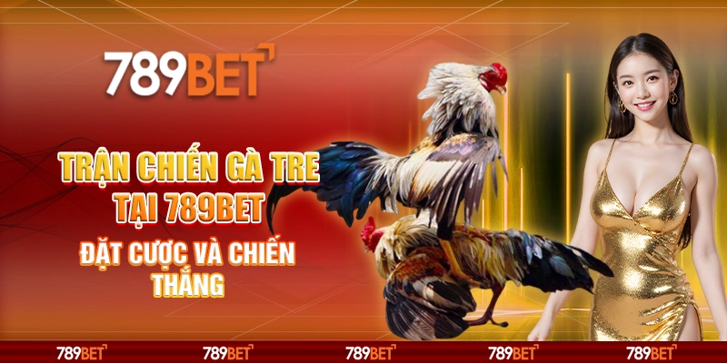 Trận Chiến Gà Tre tại 789bet – Đặt cược và chiến thắng