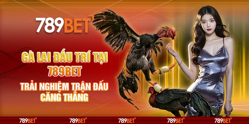 Gà Lai Đấu Trí Tại 789bet – Trải Nghiệm Trận Đấu Căng Thẳng