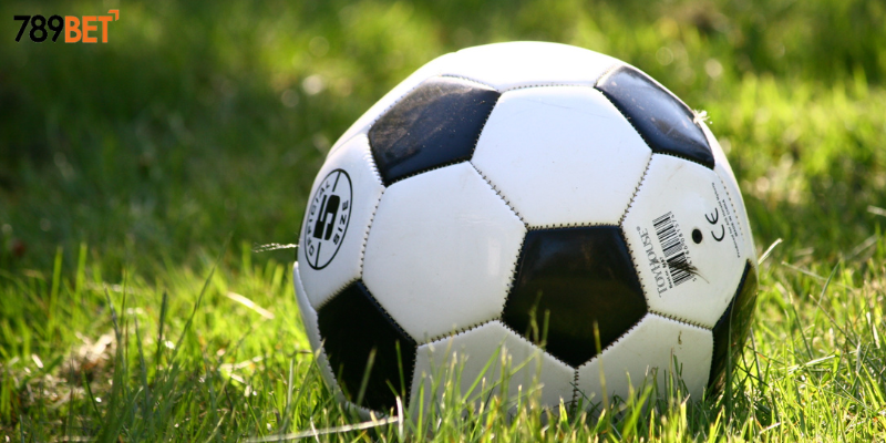 Cá Cược Bóng Đá Mls Mỹ Cùng 789bet – Cơ Hội Thắng Cực Cao 3 Chiến thuật giúp bạn quyết định cược đúng