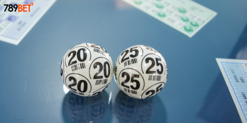 Tham gia cược lô rơi cùng nhà cái