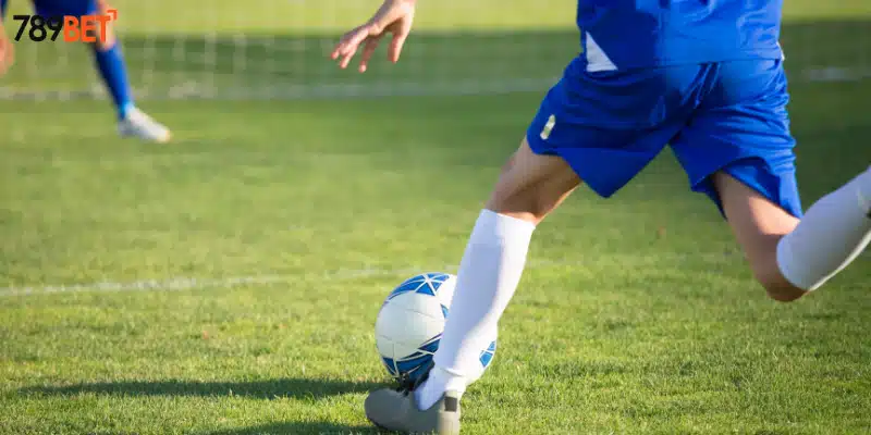 Cược với nhiều thể loại hấp dẫn