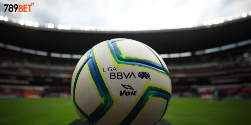 Theo dõi thông tin nhanh chóng mỗi ngày