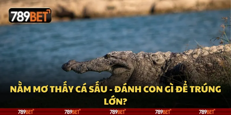 Nằm mơ thấy cá sấu - Đánh con gì để trúng lớn?