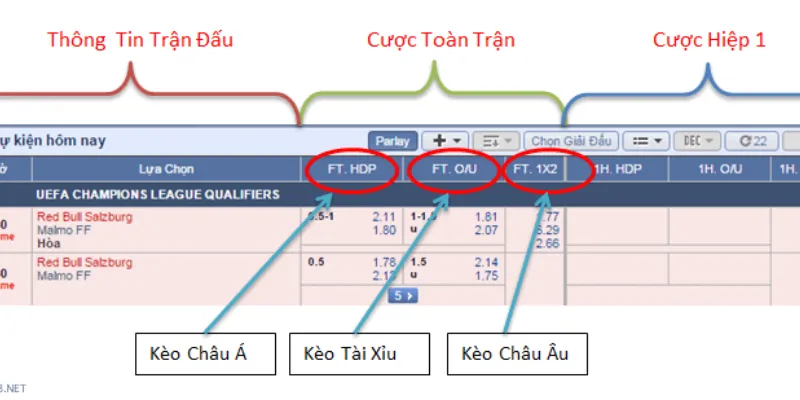 Cách tính tỷ lệ cược - Hướng dẫn đọc kèo chuẩn xác nhất 2 Những loại tỷ lệ cược phổ biến hiện nay