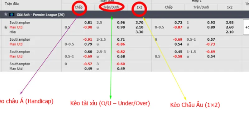 Cách tính tỷ lệ cược - Hướng dẫn đọc kèo chuẩn xác nhất 3 Hướng dẫn đọc và hiểu rõ tỷ lệ cược khi cá cược online