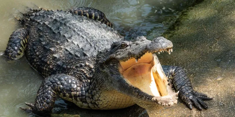 Tín hiệu cho thấy cuộc sống chuẩn bị thay đổi