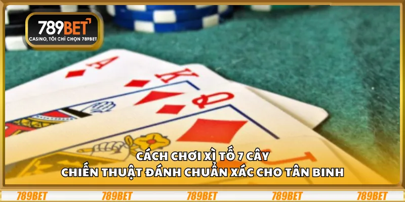 Cách chơi xì tố 7 cây – Chiến thuật đánh chuẩn xác cho tân binh