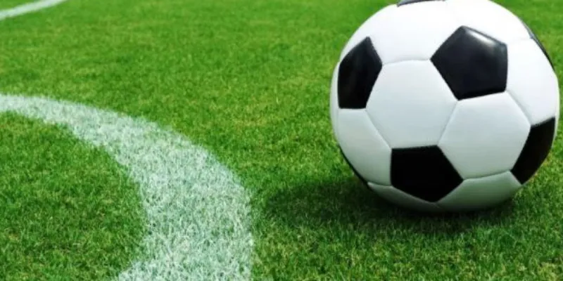 Hướng dẫn đọc tỷ lệ kèo và lựa chọn cửa đặt hợp lý