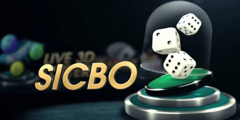 Bí quyết chơi Sicbo - Tăng cơ hội thắng dễ dàng mỗi ván 4 Bí quyết chơi Sicbo thắng đều mỗi ván?