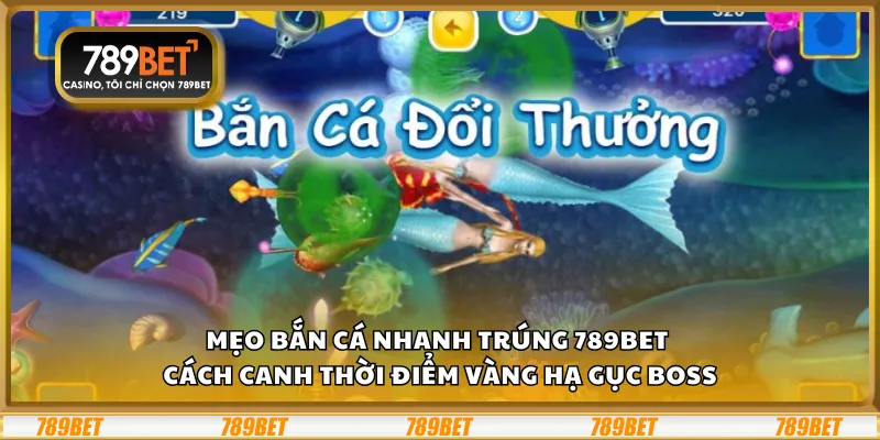 Mẹo bắn cá nhanh trúng 789Bet - Cách canh thời điểm vàng hạ gục boss 6 Mẹo bắn cá nhanh trúng 789Bet - Cách canh thời điểm vàng hạ gục boss