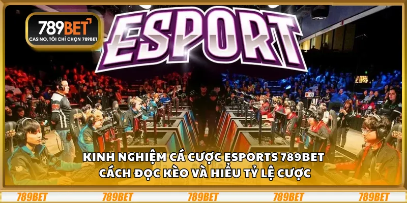 Kinh nghiệm cá cược Esports 789Bet – Cách đọc kèo và hiểu tỷ lệ cược