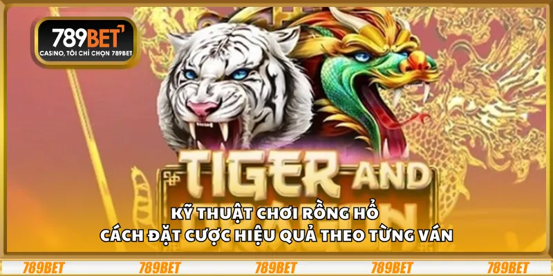 Kỹ thuật chơi Rồng Hổ – Cách đặt cược hiệu quả theo từng ván