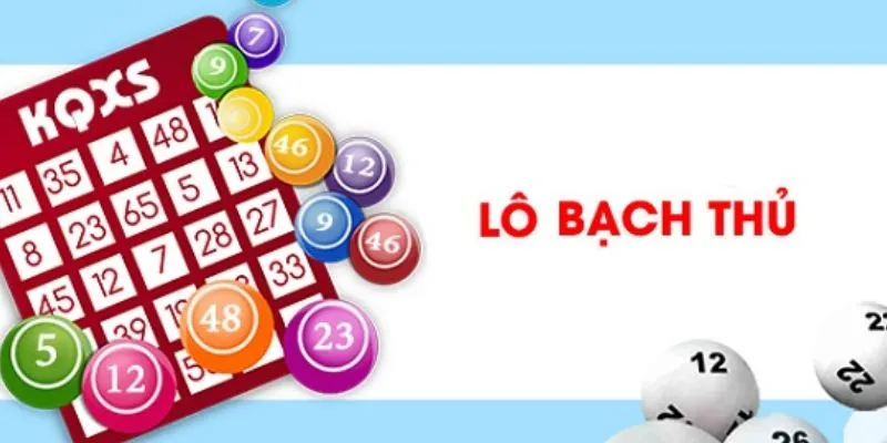 Bạch thủ lô là gì?