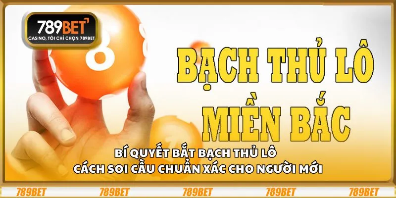 Bí quyết bắt bạch thủ lô – Cách soi cầu chuẩn xác cho người mới